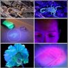 LED Flashlights |   Wholesale 10W 365nm Purple Light Flashlight, LED Powerful Flashlights, Rechargeable Powerful Fluorescent Detector, Purple Light Flashlight, For Pet Urine Detection, Resin Curing No batteries included LED Flashlights LED Flashlights