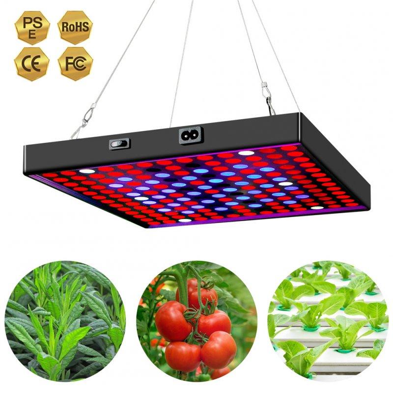 LED Grow Lights |   Wholesale 1000w 169led Grow  Light Plant Growing Lamp Full Spectrum For Indoor Plants Hydroponics EU plug LED Grow Lights EU plug