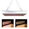 LED Grow Lights |   Wholesale 25W/45W Full Spectrum LED Grow Light Series Circuits Lamp for Greenhouse Indoor Plants LED Grow Lights 45W US regulation