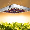 LED Grow Lights |   Wholesale 25W/45W Full Spectrum LED Grow Light Series Circuits Lamp for Greenhouse Indoor Plants LED Grow Lights 45W US regulation