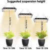 LED Grow Lights |   Wholesale 300w Led Grow Light Full Spectrum Energy Saving 380-840nm Sunlight Plant Grow Lamp EU plug LED Grow Lights EU plug