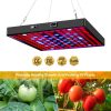 LED Grow Lights |   Wholesale 50w 81led Waterproof Grow  Light Growing Lamp Full Spectrum For Indoor Plant Hydroponic EU plug LED Grow Lights EU plug