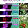 LED Grow Lights |   Wholesale 50w 81led Waterproof Grow  Light Growing Lamp Full Spectrum For Indoor Plant Hydroponic EU plug LED Grow Lights EU plug