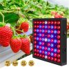 LED Grow Lights |   Wholesale 50w 81led Waterproof Grow  Light Growing Lamp Full Spectrum For Indoor Plant Hydroponic U.S plug LED Grow Lights LED Grow Lights