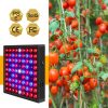 LED Grow Lights |   Wholesale 50w 81led Waterproof Grow  Light Growing Lamp Full Spectrum For Indoor Plant Hydroponic U.S plug LED Grow Lights LED Grow Lights