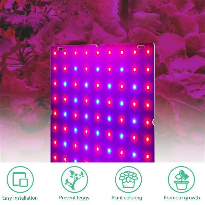 LED Grow Lights |   Wholesale 81led Led Grow Light Full Spectrum Uv Plant Growing Lamp For Indoor Hydroponic Plants EU plug LED Grow Lights EU plug