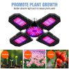 LED Grow Lights |   Wholesale Ac85-265v Led Grow Light Plant Seed E27 Full Spectrum Hydroponic Lampara Panel Bombilla Grow Tent Bulb 200w 300w 400w 200 LED Grow Lights 200