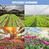 LED Grow Lights |   Wholesale Ac85-265v Led Grow Light Plant Seed E27 Full Spectrum Hydroponic Lampara Panel Bombilla Grow Tent Bulb 200w 300w 400w 300 LED Grow Lights 300