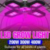 LED Grow Lights |   Wholesale Ac85-265v Led Grow Light Plant Seed E27 Full Spectrum Hydroponic Lampara Panel Bombilla Grow Tent Bulb 200w 300w 400w 300 LED Grow Lights 300