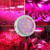 LED Grow Lights |   Wholesale Dual Core 216 Watt LED Plant Growth Lamp Full Spectrum Indoor Fill Light UFO Plant Growth Lamp British regulatory LED Grow Lights British regulatory