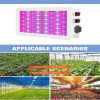 LED Grow Lights |   Wholesale Led Grow Light Indoor Ip65 Waterproof Dustproof Plant Lamp Full Spectrum Greenhouse Flower Seed Tent Bulb US Plug LED Grow Lights LED Grow Lights