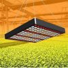 LED Grow Lights |   Wholesale LED Plant Growth Lamp Energy-Saving Super Bright Plant Fill Light Promoting Plant Growth for Indoor Plants UK Plug LED Grow Lights LED Grow Lights