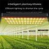 LED Grow Lights |   Wholesale LED Plant Growth Lamp Energy-Saving Super Bright Plant Fill Light Promoting Plant Growth for Indoor Plants UK Plug LED Grow Lights LED Grow Lights