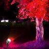 LED Grow Lights |   Wholesale Outdoor Waterproof Spotlight Garden Lawn Lamp Safe Low Voltage Powered Park Square Road Community Landscape Light With Remote Control 2 in 1_EU Plug LED Grow Lights 2 in 1 + EU Plug