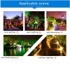 LED Grow Lights |   Wholesale Outdoor Waterproof Spotlight Garden Lawn Lamp Safe Low Voltage Powered Park Square Road Community Landscape Light With Remote Control 2 in 1_EU Plug LED Grow Lights 2 in 1 + EU Plug