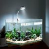 LED Grow Lights |   Wholesale Usb Charging Small Fishbowl  Led  Light With Separate Power Switch High Brightness Clip-type Mini Water Grass Lamp Aquarium LED Grow Lights LED Grow Lights