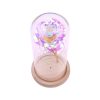 LED Night Lights |   Wholesale Glass Dome Rose with Wooden Base Valentine’s Day Gifts Christmas LED Rose Lamps Home Decoration As shown LED Lighting As shown