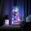 LED Night Lights |   Wholesale Glass Dome Rose with Wooden Base Valentine’s Day Gifts Christmas LED Rose Lamps Home Decoration As shown LED Lighting As shown