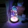 LED Night Lights |   Wholesale Glass Dome Rose with Wooden Base Valentine’s Day Gifts Christmas LED Rose Lamps Home Decoration As shown LED Lighting As shown