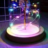 LED Night Lights |   Wholesale Glass Dome Rose with Wooden Base Valentine’s Day Gifts Christmas LED Rose Lamps Home Decoration As shown LED Lighting As shown