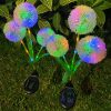 Solar Lights |   Wholesale 2 Pack Solar 3-head Flowers Light Outdoor IP65 Waterproof 2 Modes 3-in-1 Flowers Solar Powered Lights For Garden Yard Decor warm light LED Lighting Solar Lights