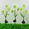 Solar Lights |   Wholesale 2 Pack Solar 3-head Flowers Light Outdoor IP65 Waterproof 2 Modes 3-in-1 Flowers Solar Powered Lights For Garden Yard Decor warm light LED Lighting Solar Lights