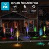 Solar Lights |   Wholesale 2pcs Solar Led Colorful Lights Ip66 Waterproof Optic Garden Lamps LED Lighting As shown