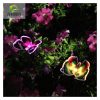 Solar Lights |   Wholesale 2Pcs Waterproof Solar Fiber Optic Butterflies Shape Lights Outdoor Garden Lawn  Decor red LED Lighting Red