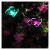 Solar Lights |   Wholesale 2Pcs Waterproof Solar Fiber Optic Butterflies Shape Lights Outdoor Garden Lawn  Decor red LED Lighting Red