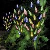 Solar Lights |   Wholesale 3 in 1 LED Solar Lawn Light Leaves Branch Shape Lamp for Outdoor Garden Yard Decoration One for three white light leaves branch lights LED Lighting One for three white light leaves branch lights + Solar lawn light