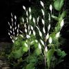 Solar Lights |   Wholesale 3 in 1 LED Solar Lawn Light Leaves Branch Shape Lamp for Outdoor Garden Yard Decoration One for three white light leaves branch lights LED Lighting One for three white light leaves branch lights + Solar lawn light