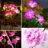 Solar Lights |   Wholesale Outdoor Garden Solar LED Lights 3-Head Hydrangea Rose Flower Waterproof Stake Lights For Pathway Garden Backyard Lawn Decor blue LED Lighting Blue