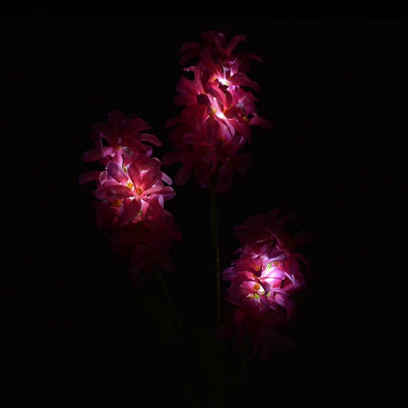 Solar Lights |   Wholesale Solar Flower Lights, Waterproof Hyacinth Garden Light, Outdoor Decorative 3 LED Lamp for Lawn Patio Pathway Driveway Landscape Lighting Pink LED Lighting Pink