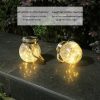 Solar Lights |   Wholesale Solar Lantern 30led Crack Glass Wishing Lanterns Waterproof Night Light Decoration For Garden Patio Backyard 30leds LED Lighting 30leds