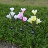 Solar Lights |   Wholesale Solar Powered Light Magnolia Flower Shape 4 LEDS Garden Lighting Outdoor Landscape Light pink color white light LED Lighting Pink color white light