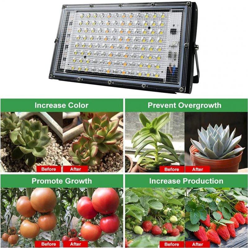 LED Grow Lights |   Wholesale 100w Led Grow Light With Plug Plant Growing Lamp Promoting Plant Growth For Greenhouse Hydroponic Flower Seeds EU plug LED Grow Lights EU plug